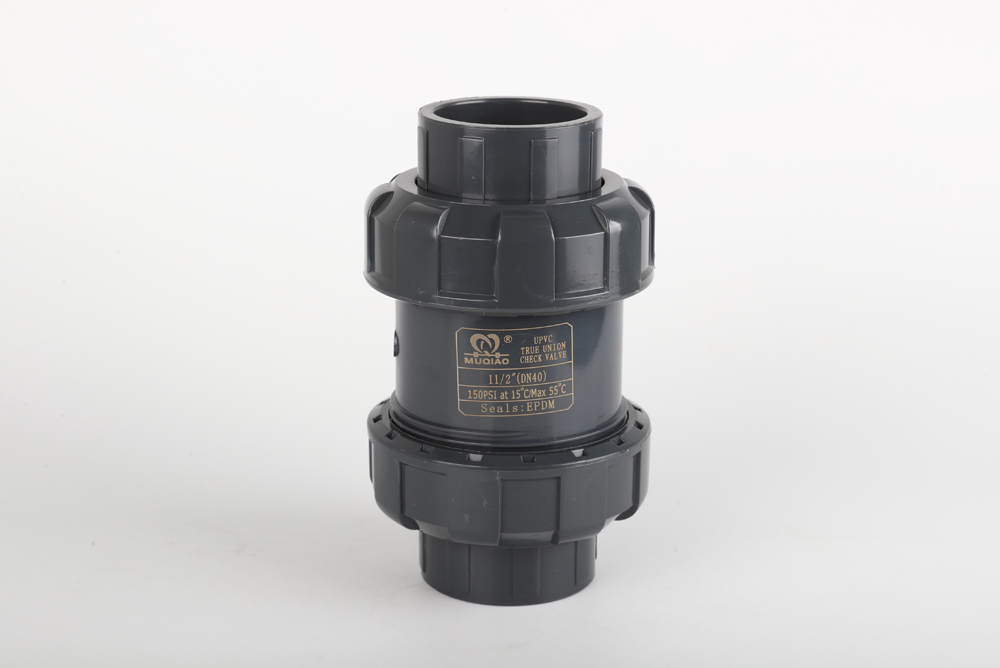 丰满双由令止回阀